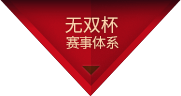 无双杯 赛事体系